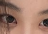 눈 닮은꼴 찾아줘