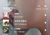 뉴진스 신곡 판녀들 취향만 아닌가봄ㅋㅋㅋ