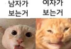 너네 크리스마스에 뭐할거냐