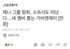 헐 미친거 아니야? 제니 탈퇴했다는데?