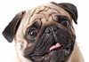 재수 확정된 04년생 특징