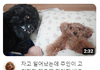 지잡대에서도 배울 거 있다vs없다
