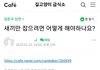 캣맘카페 왜이래??;;;