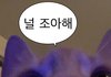 부모님 모시고 하루필름 같은 포토부스 가봐