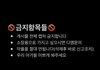 햄스터 인스타 조카 유난이다
