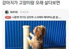 고양이랑 오래 살았더니;;
