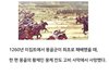 세계 황제가 될 뻔했던 여성