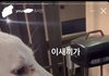 엥 강아지 케이크 먹어도돼..;;??