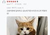 여름에 옷 잘입기가 ㄹㅇ 힘들지 않으?