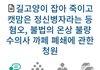 이것좀 꼭 봐줘!!!!