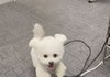 나 쌍수 잘되지 않았니 ㅋㅋㅋㅋ