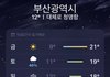 월요일에 벚꽃 보러 가는데 이거 망한 거임?..