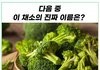 이 채소의 이름은?