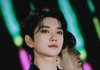 세븐틴 조슈아 정한 같이나온 짤