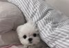 찐따 특징 뭐라고 생각해??