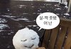 나 질투, 열등감 진짜 심한데
