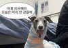 나 일하는 카페에 일머리 조카 없는 언니 있는데