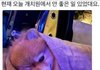 오늘 개치원에서