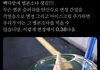 빽다방 메론소다가 그렇게 맛있어??