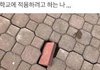 나 긱사에서 저격먹음