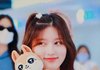방금전 일본에서 아이브 가을이