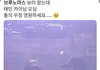 브루노마스 콘서트 보러 간 연예인