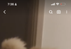 얘들아 나 코 낮은편이지??