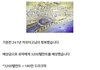 침략자의 여자가 되어야 했던 공주 이야기