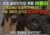 펫샵 소비를 멈춰야 하는 이유