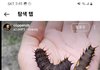 (혐짤주의)이러고 30분이상있으면 20만원 가능? 불가능?