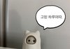 공부자극 레전드 찾음