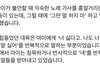 33년 경력자라는 전문가 EBS 영상 지금 시청하고 왔는데요;;;;;