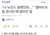 버니즈 기사 났네 하이고