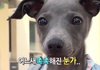 교정하라고 자꾸 보채는 거 나만 짜증나냐