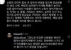 개플루언서랑 시녀들 보니까 견주들 왜 요새 그 모양이냐?