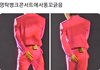 디시 스우파 갤에서 댄서들 까이는거