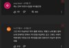 지디팬들 개유난인게