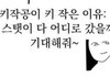 아 개이쁘지 않음 ㄹㅇ?