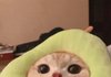 내 PR 좀 할게.