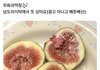 소심발언인데 무화과 ㅈㄴ징그럽게 생김