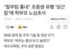 어린한남들한테 유행하는 놀이래