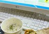 샐러디 존맛..