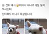 삼수할동안 술 안마셨더니
