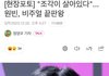 라이즈 원빈 기사사진 주접ㅋㅋ