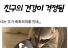 친구가 걱정돼..ㅠ