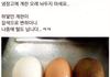 계란의 성장기
