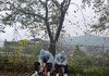 아무리 팬이라도 못 따라 할 것 같은 여행 일정