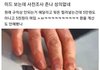나 대학 붙엇다고 중1 담임쌤한테 문자했는데