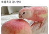 이쁘잖아