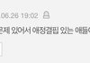 이거 진짜 ㄹㅇ임